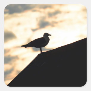 Sea Gull Sunset Square Sticker