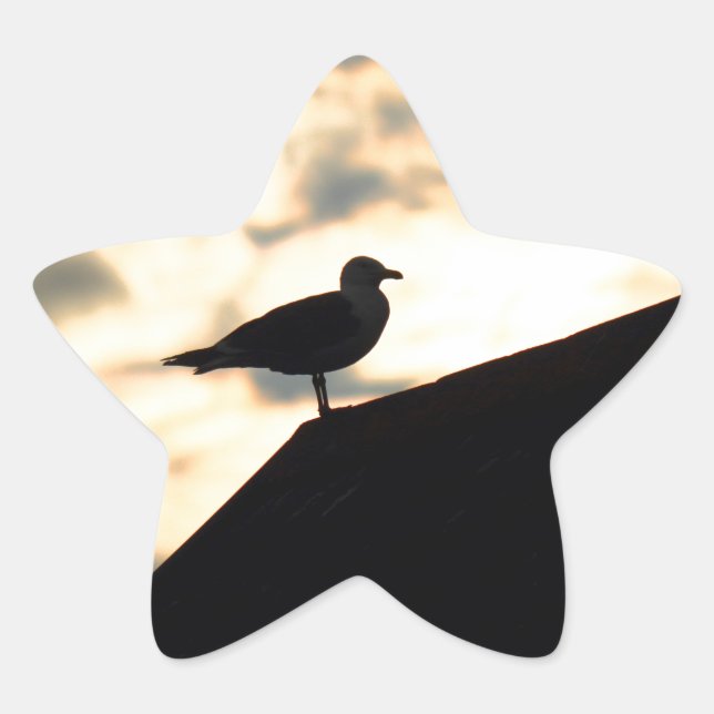 Sea Gull Sunset Star Sticker (Front)