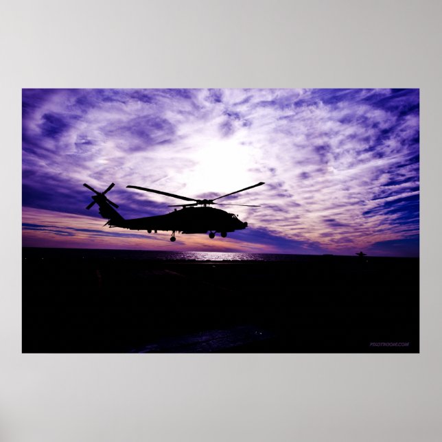 Sea Hawk Landing at Sunset Poster (Front)