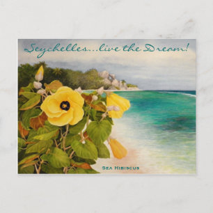 Sea Hibiscus Postcard