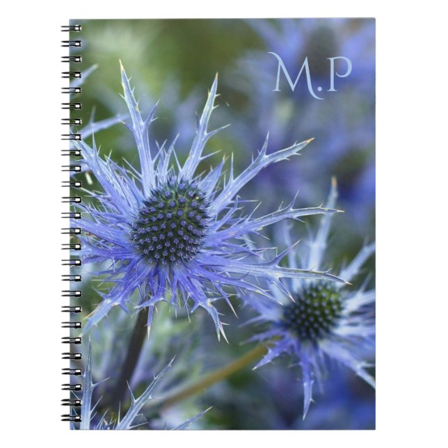 Sea Holly Thistle Monogram Notebook (Front)