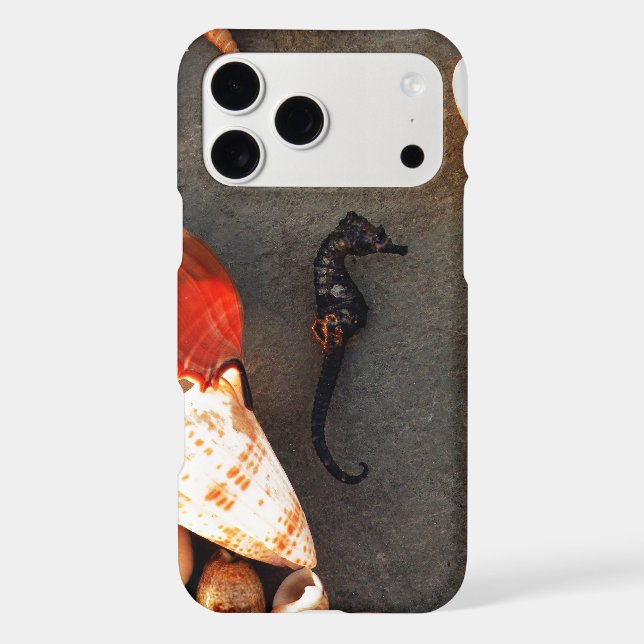 Sea Horse (Back)