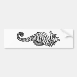 Sea Horse Bumper Sticker