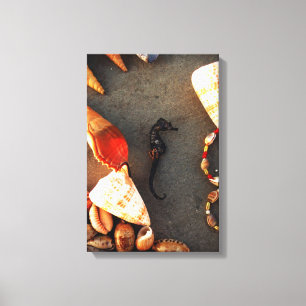 Sea Horse Canvas Print