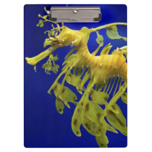 Sea horse clipboard