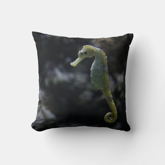 Sea Horse Cushion (Front)