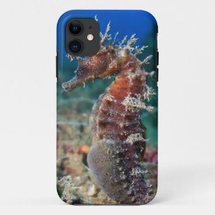 Sea Horse Hippocampus Ramulosus Case-Mate iPhone Case