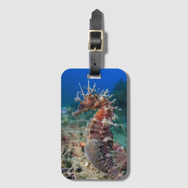 Sea Horse | Hippocampus Ramulosus Luggage Tag (Front Vertical)