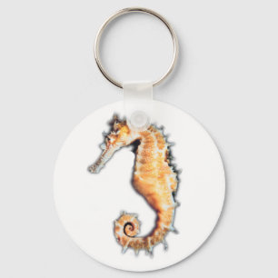 Sea horse key ring