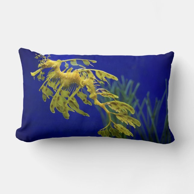 Sea horse lumbar cushion (Front)
