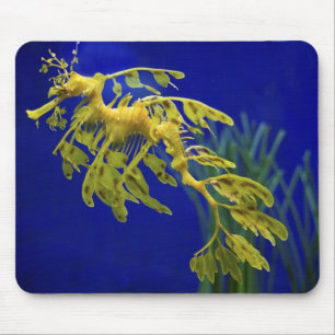Sea horse mouse pad