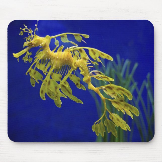 Sea horse mouse pad (Front)