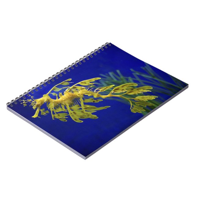 Sea horse notebook (Left Side)