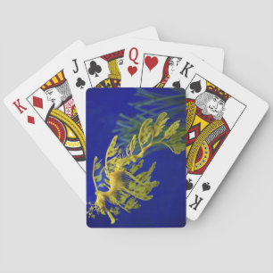 Sea horse playing cards