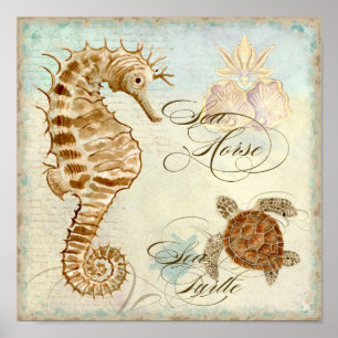 Sea Horse, Sea Turtle Coastal Beach - Fine Art Poster