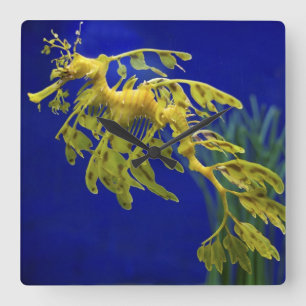 Sea horse square wall clock