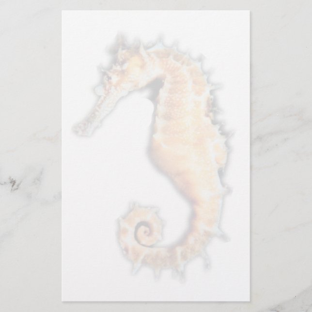 Sea horse Stationery (Front)