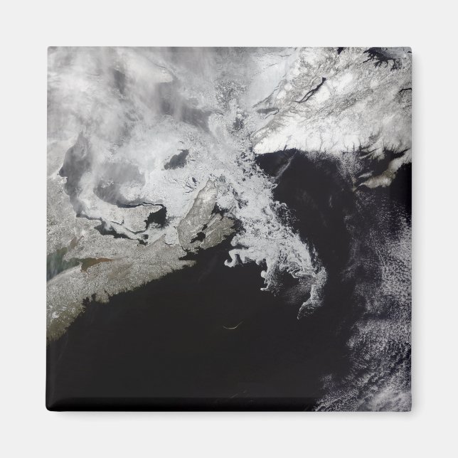 Sea ice fills the Gulf of St Lawrence Magnet (Front)