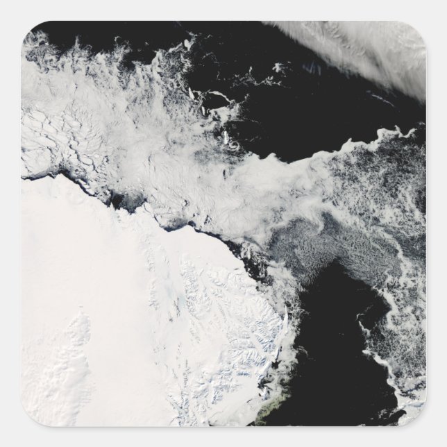Sea ice in the Southern Ocean Square Sticker (Front)