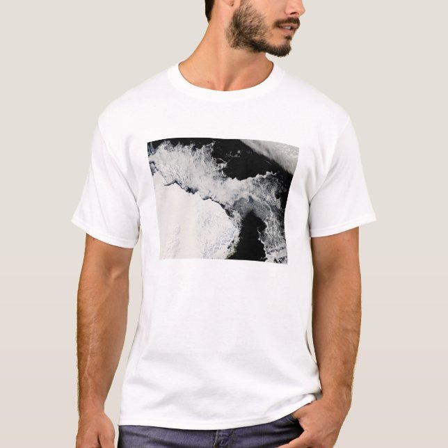 Sea ice in the Southern Ocean T-Shirt (Front)