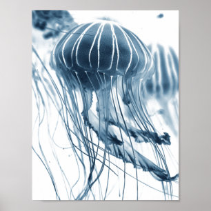 SEA JELLYFISH PHOTOGRAPHIC POSTER