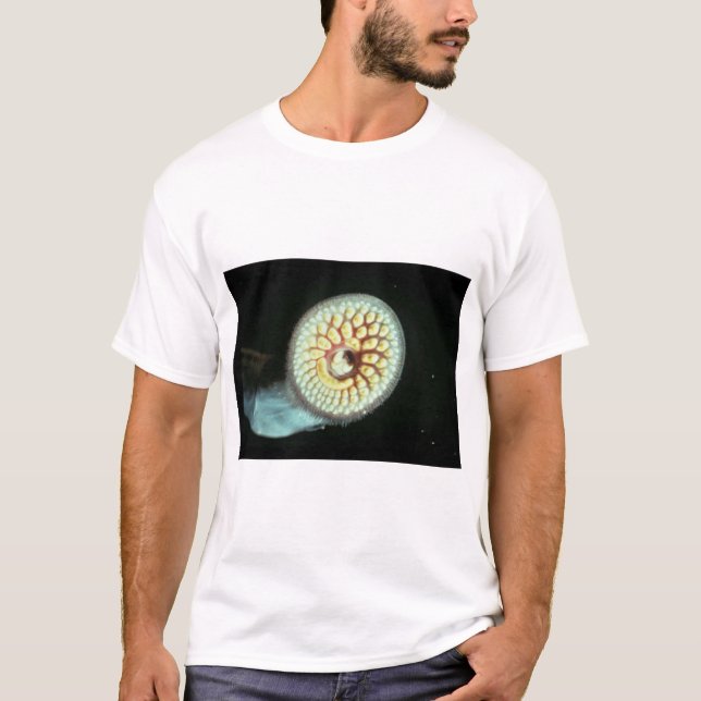 Sea Lamprey T-Shirt (Front)