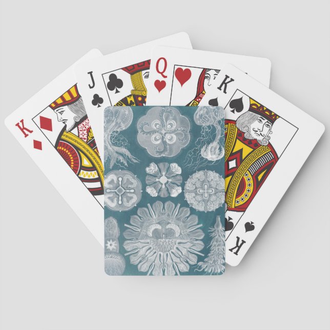 Sea Life Blueprint IV Playing Cards (Back)