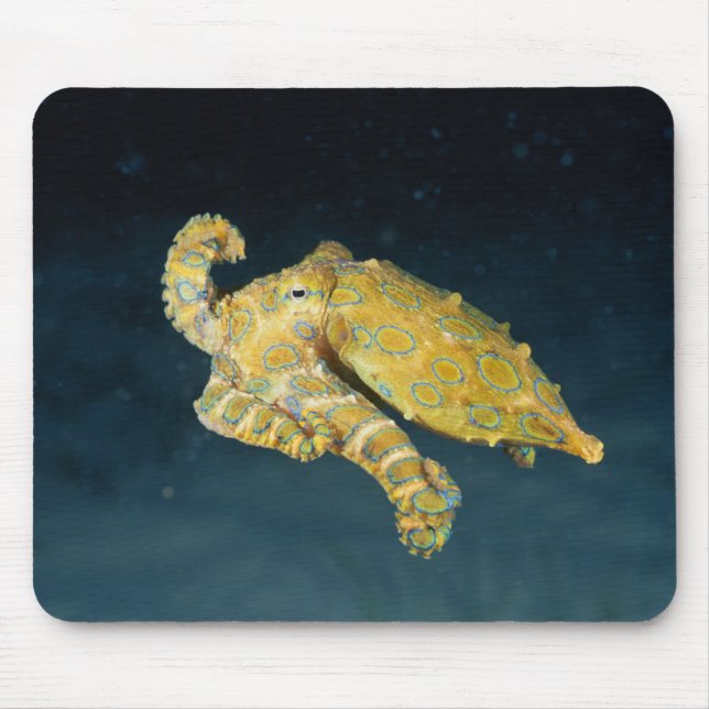 Sea Life - Octopus Mouse Pad (Front)