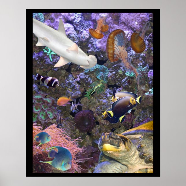 Sea Life Poster (Front)