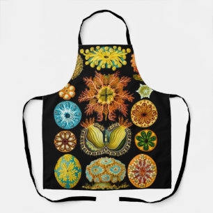 sea life sea creatures print apron