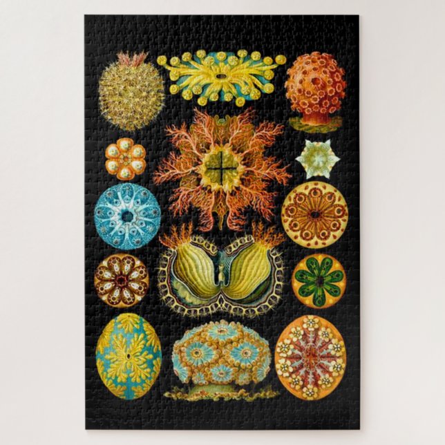 sea life sea creatures print jigsaw puzzle (Vertical)