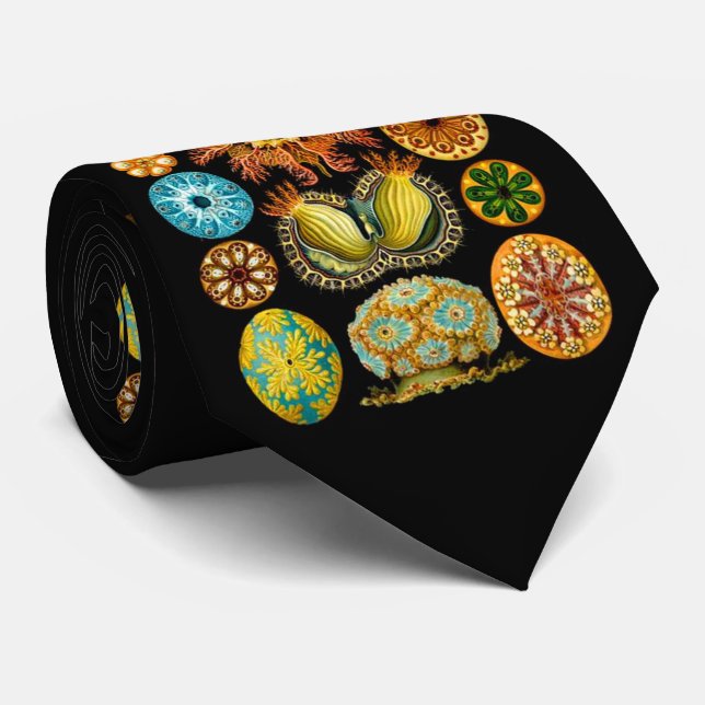 sea life sea creatures print tie (Rolled)