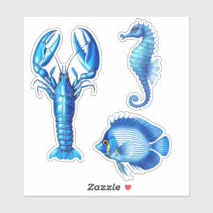 Sea Life / Sealife - Lobster, Seahorse and Fish