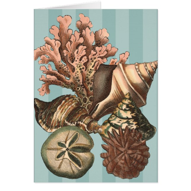 Sea Life Silhouette (Front)