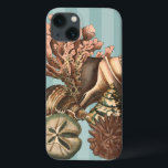 Sea Life Silhouette iPhone 13 Case<br><div class="desc">This art print displays the finest things in nature within the ocean. Find all the different types of sea life in this image including a Conch Seashell,  Sand Dollars,  and Reefs buried deep in the sea. This art collection is a must have in your next Zazzle products.</div>
