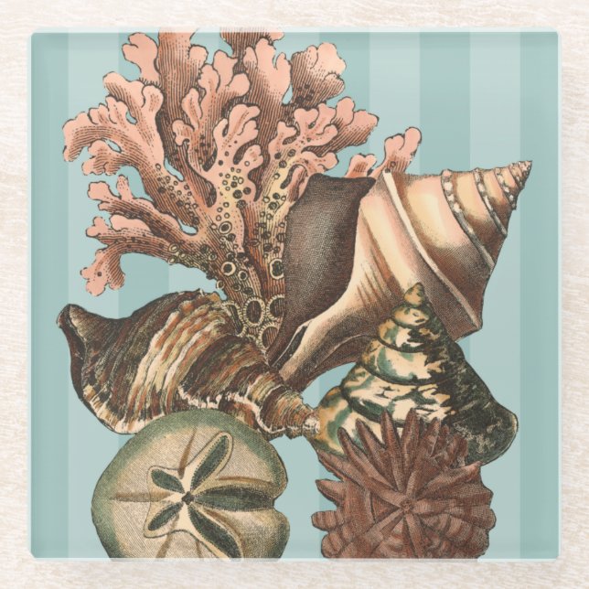 Sea Life Silhouette Glass Coaster (Front)
