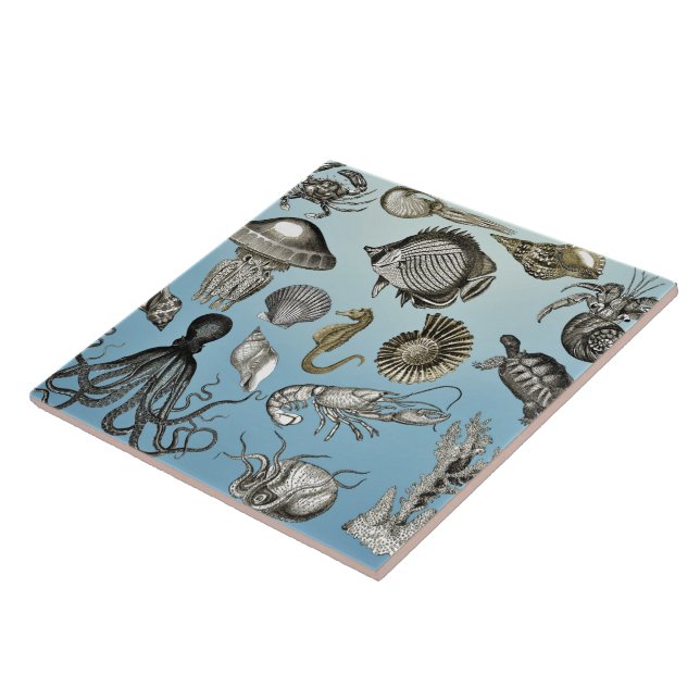 Sea Life  Tile (Side)