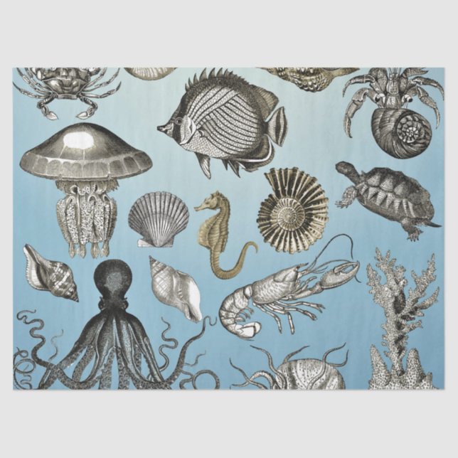 Sea Life  Tissue Paper (Front)