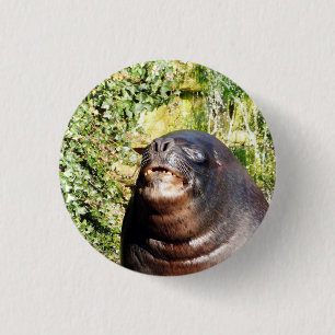 SEA LION 3 CM ROUND BADGE