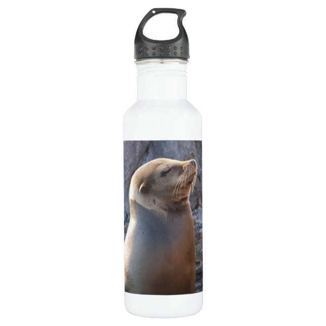 Sea Lion 710 Ml Water Bottle (Front)