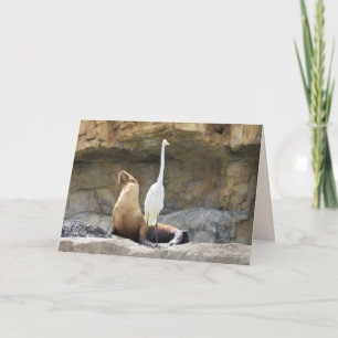 Sea Lion and Egret Greeting Card