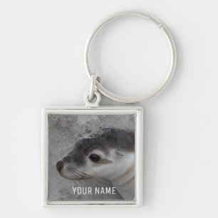Sea Lion Baby Pup Beach Close Up Portrait Key Ring