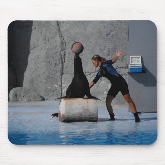 Sea lion balancing a ball in Spain Mouse Pad (Front)