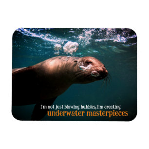 Sea lion blowing bubbles underwater magnet