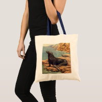 Sea Lion by the Seashore, Vintage Marine Mammals