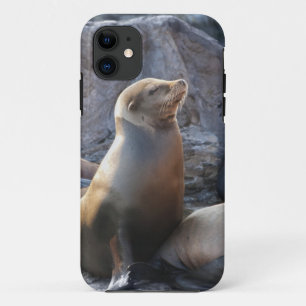 Sea Lion Case-Mate iPhone Case