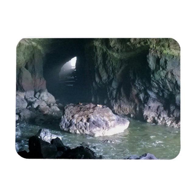 Sea Lion Cave, OR Magnet (Horizontal)