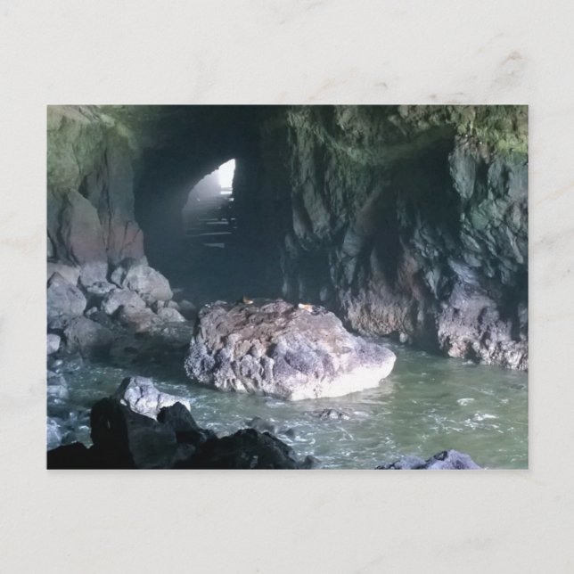 Sea Lion Cave, OR Postcard (Front)