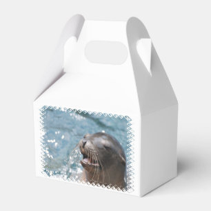 Sea Lion Favour Box