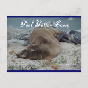 Sea Lion - Feel Better Soon - Postcard